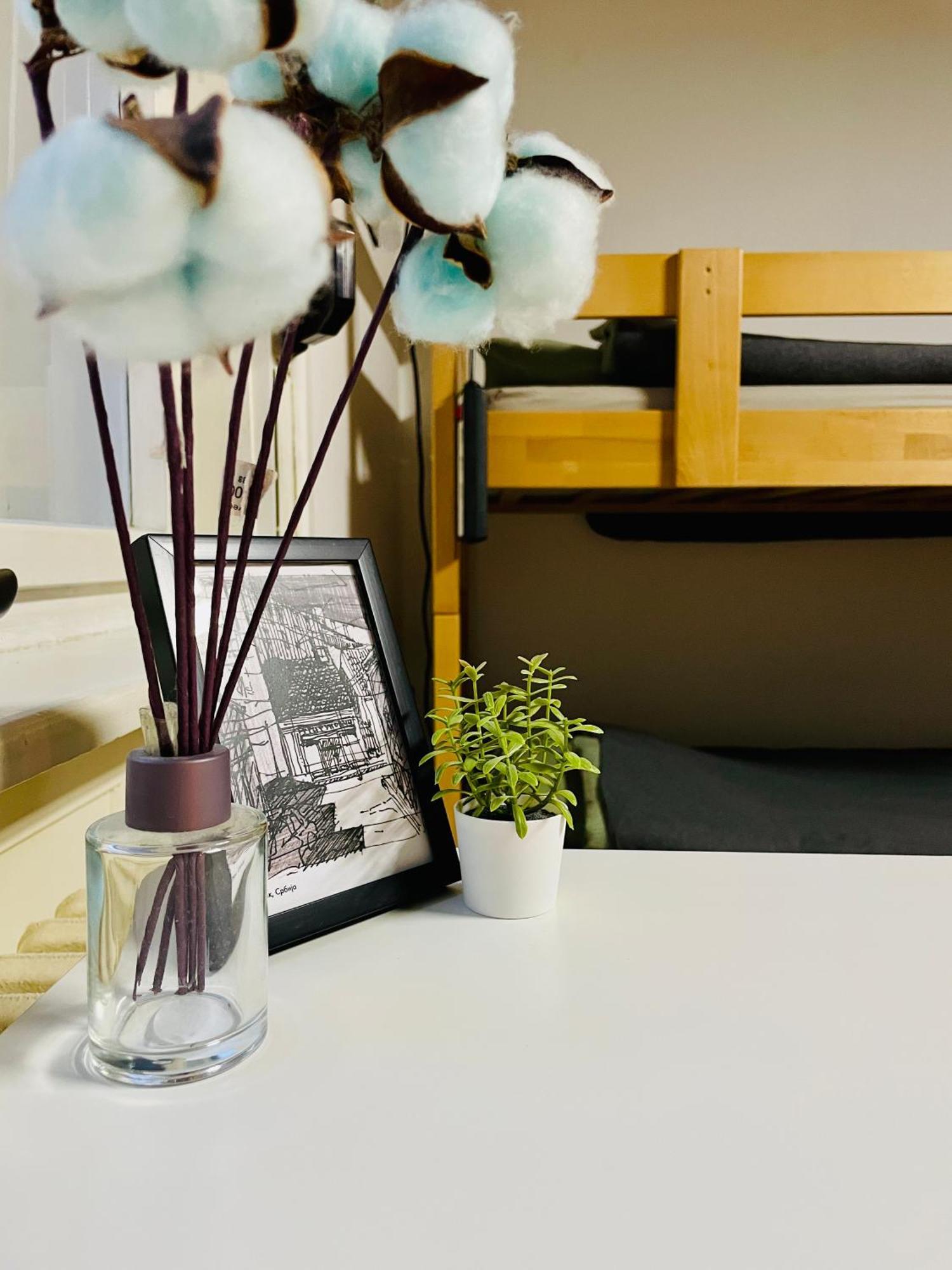 Hostel Stari Grad Novi Sad Extérieur photo